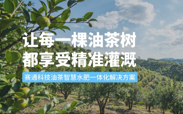 赛通科技油茶智慧水肥一体化解决方案：让每一棵油茶树都享受精准灌溉